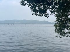 -柳莺湖上·湖景餐厅·江南菜(西湖店)