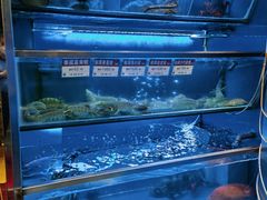 -協成海鮮火鍋(老店)