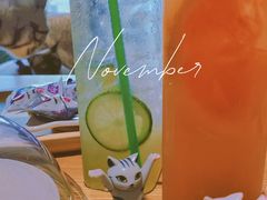 莫吉托-藏猫猫咖啡主题馆(中央大道店)