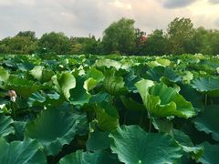 -云龙湖旅游景区
