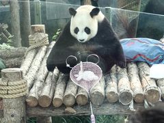 -大连森林动物园