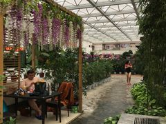 -天源吉布世温泉水乐园