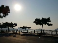 栈桥王子酒店(栈桥王子饭店)-老味道民宿(栈桥店)