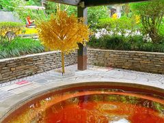 -融汇温泉