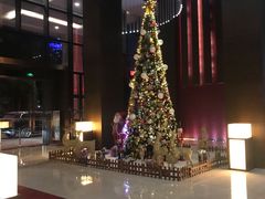 -深圳湾科技园丽雅查尔顿酒店
