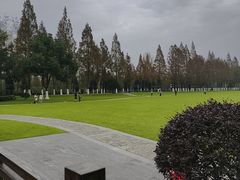 -合肥滨湖国家森林公园