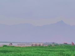 -敕勒川草原文化旅游区