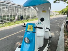 -苏州太湖西山岛开心农场