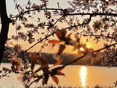 -长广溪湿地公园