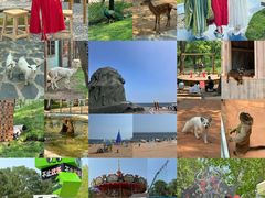 -南戴河国际娱乐中心