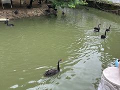 -黔灵山公园