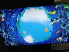 -大城·烧烤海鲜大排档(台东店)