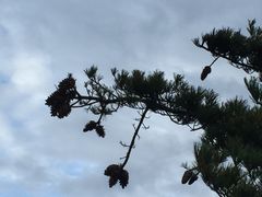-洛阳白云山景区