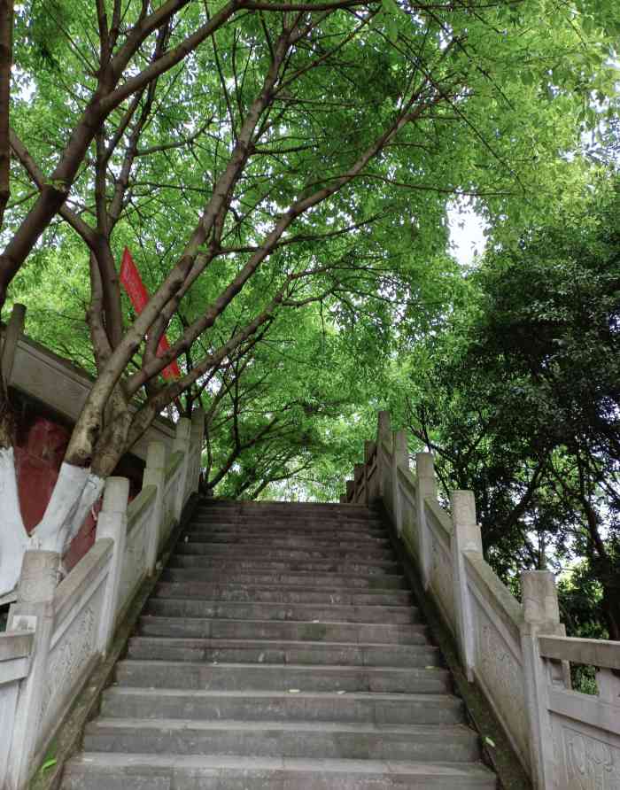 大龙山公园-"在紫都城吃完饭需要消食遛弯,站在公园山门.