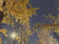 -合景·悠方(成都店)