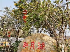 -映月湖公园