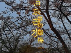 -香雪海