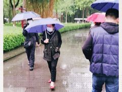 -邓小平故里