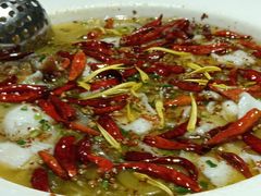 -太二酸菜鱼(汕头苏宁广场店)