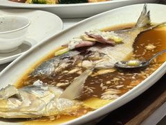 -老绍兴养和饭店(向阳不夜城店)