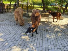 -西安秦岭野生动物园