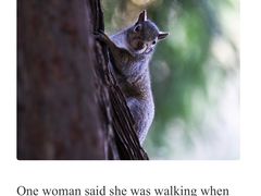 -梁记粥铺(开元地中海店)