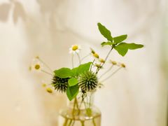 -花二家·生活馆(六运小区店)