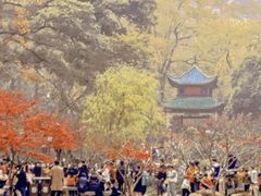 -华谊兄弟（长沙）电影小镇