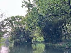 -西溪国家湿地公园