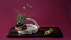 -今日陶艺(富力广场店)