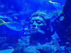 -暹罗海洋世界