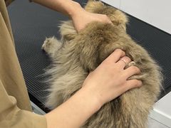 -爱洗澡的猫(天河路店)