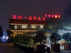 -高坎一品甲鱼庄(两河店)
