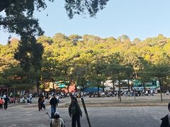 -星湖旅游景区七星岩