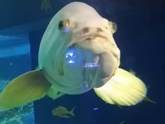 -成都浩海立方海洋公园