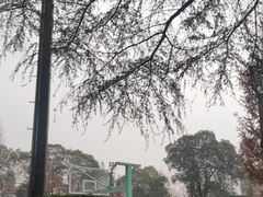 -四川大学(华西校区)