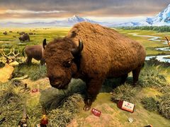 -陕西自然博物馆