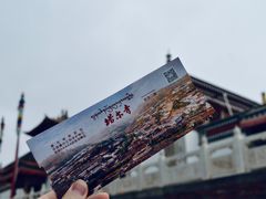 -塔尔寺菩提树