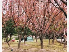 -苏州河梦清园环保主题公园