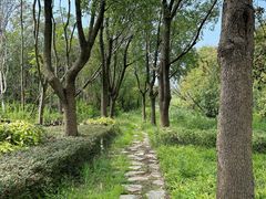 -昆山城市生态森林公园