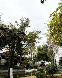 -莲生母婴月子中心(清水河公园店)