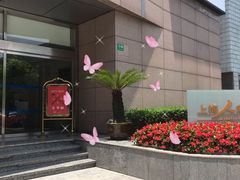 -上海机场-城市航站楼