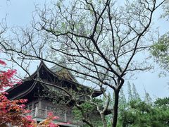 -龙华寺