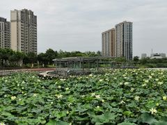 -美家乐农庄·露营·团建(大治路店)