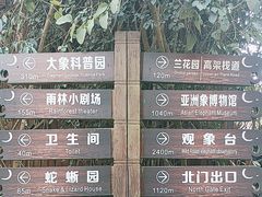 -野象谷景区
