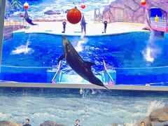 -福州罗源湾海洋世界旅游区