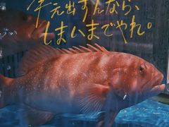 -凯华海鲜火锅·传承三十六年
