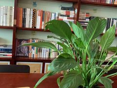 -武汉境自在書店