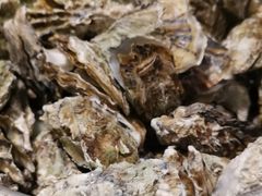 -虾宝贝胶东海鲜·渔家菜(小西天店)