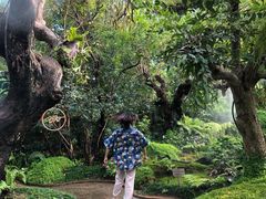 -Chom Cafe and Restaurant